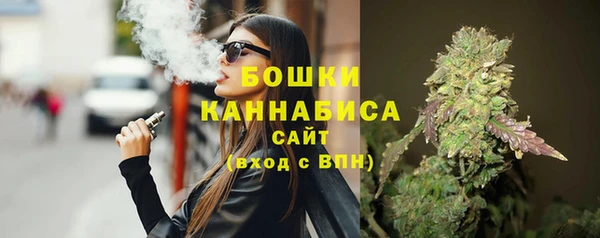 Альфа ПВП Бородино