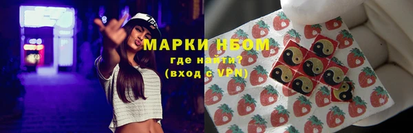 Альфа ПВП Бородино