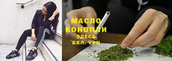 Альфа ПВП Бородино