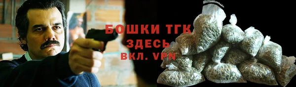 Альфа ПВП Бородино