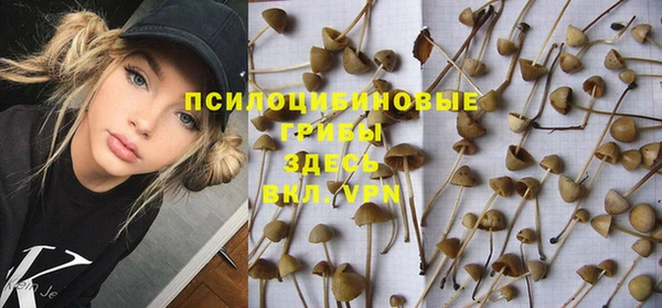 винт Бугульма