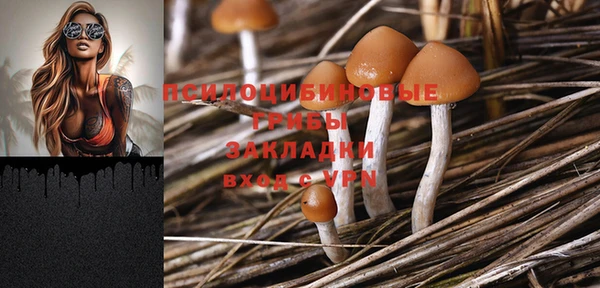 Альфа ПВП Бородино