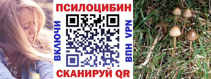 Псилоцибиновые грибы Cubensis Новосибирск
